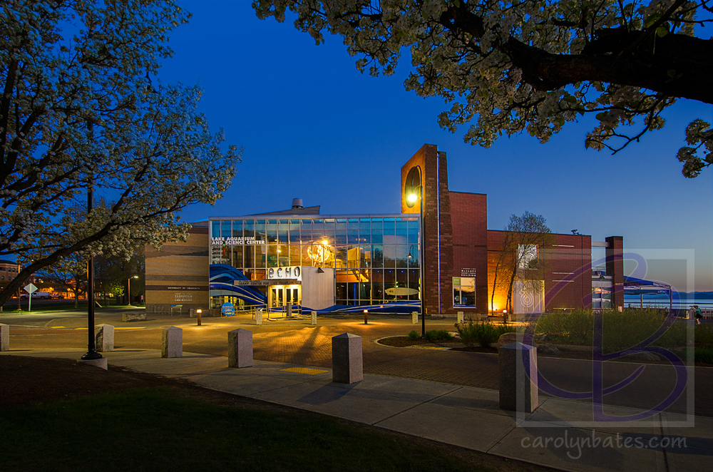 Echo Building - Commercial Architecture - Carolyn Bates Photography