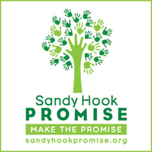 sandhookpromise