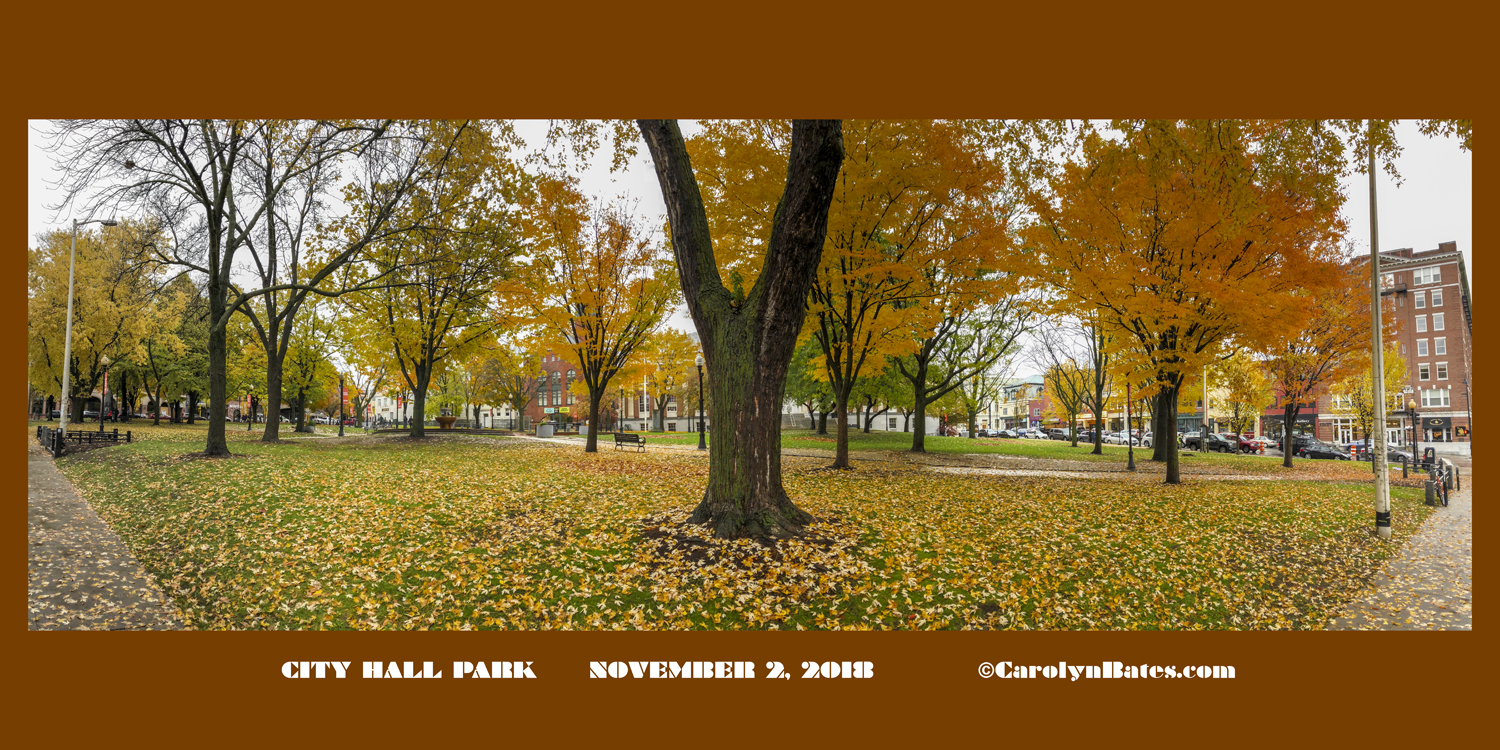 Temper City Hall Park Over-Development