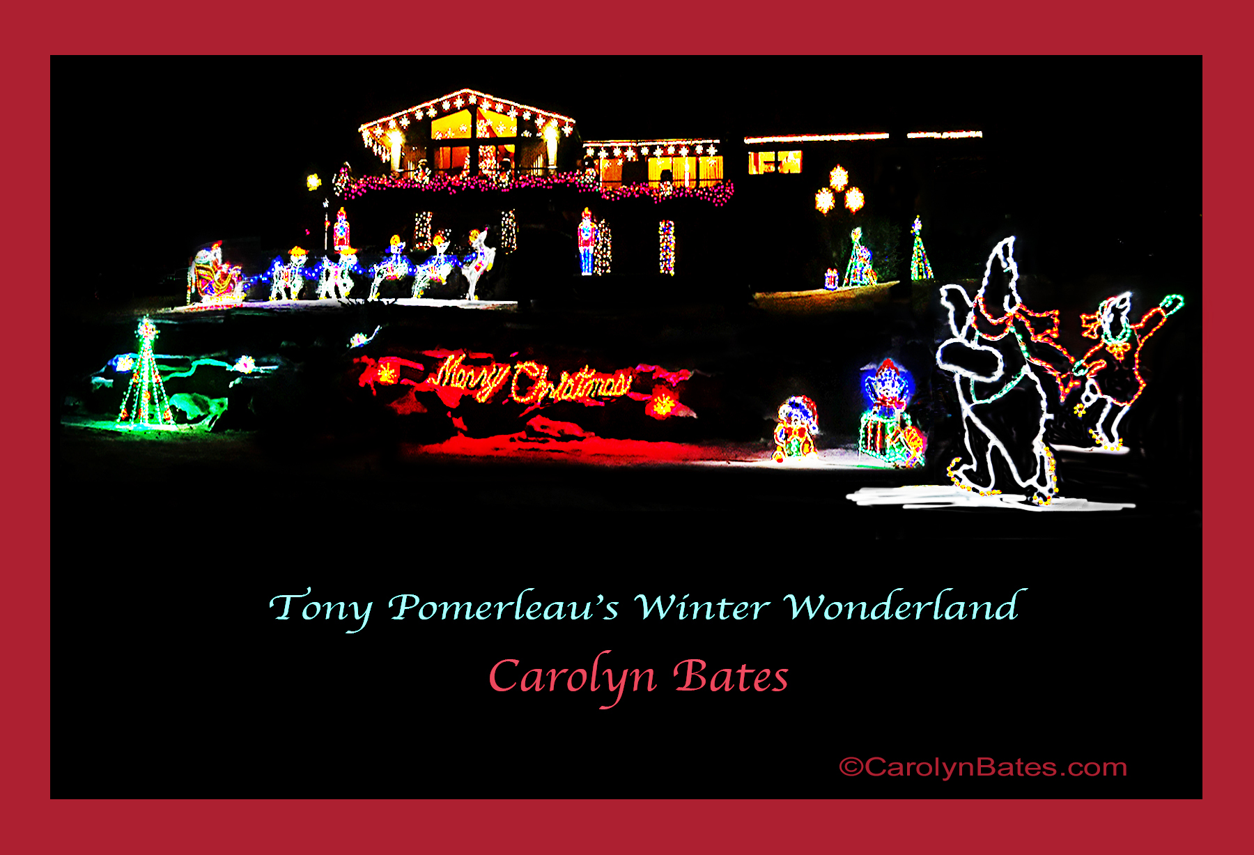 Merry Christmas from Carolyn Bates Photography