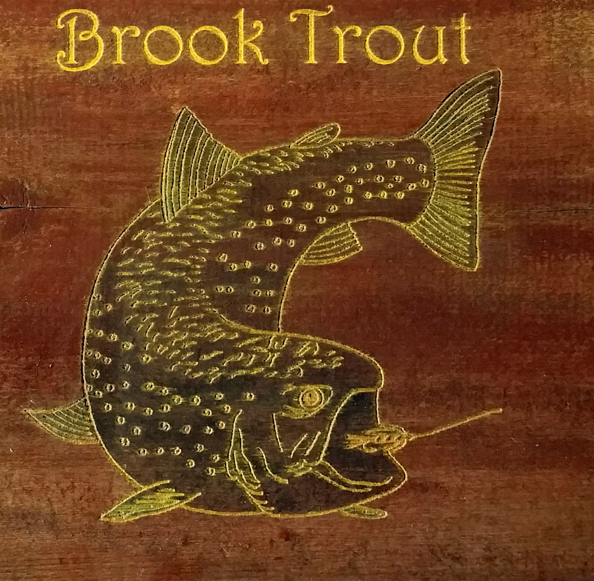brookie on a 150 year old wood sap bucket cover