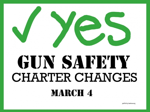 Gun Sense Vermont Handout 