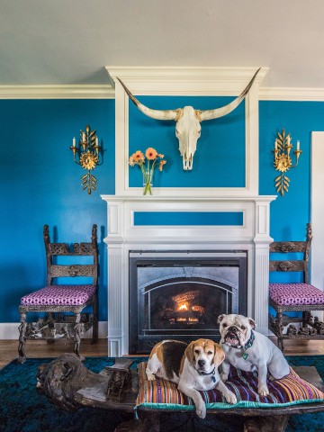 Living Room with dogs