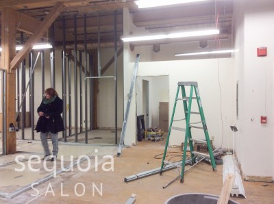 b2ap3_thumbnail_sequoiasalon-workingshots-4.jpg