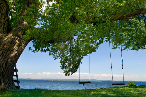 Summer on Lake Champlain at Phil Gerbode and Shari Swainbank's house in North Hero.