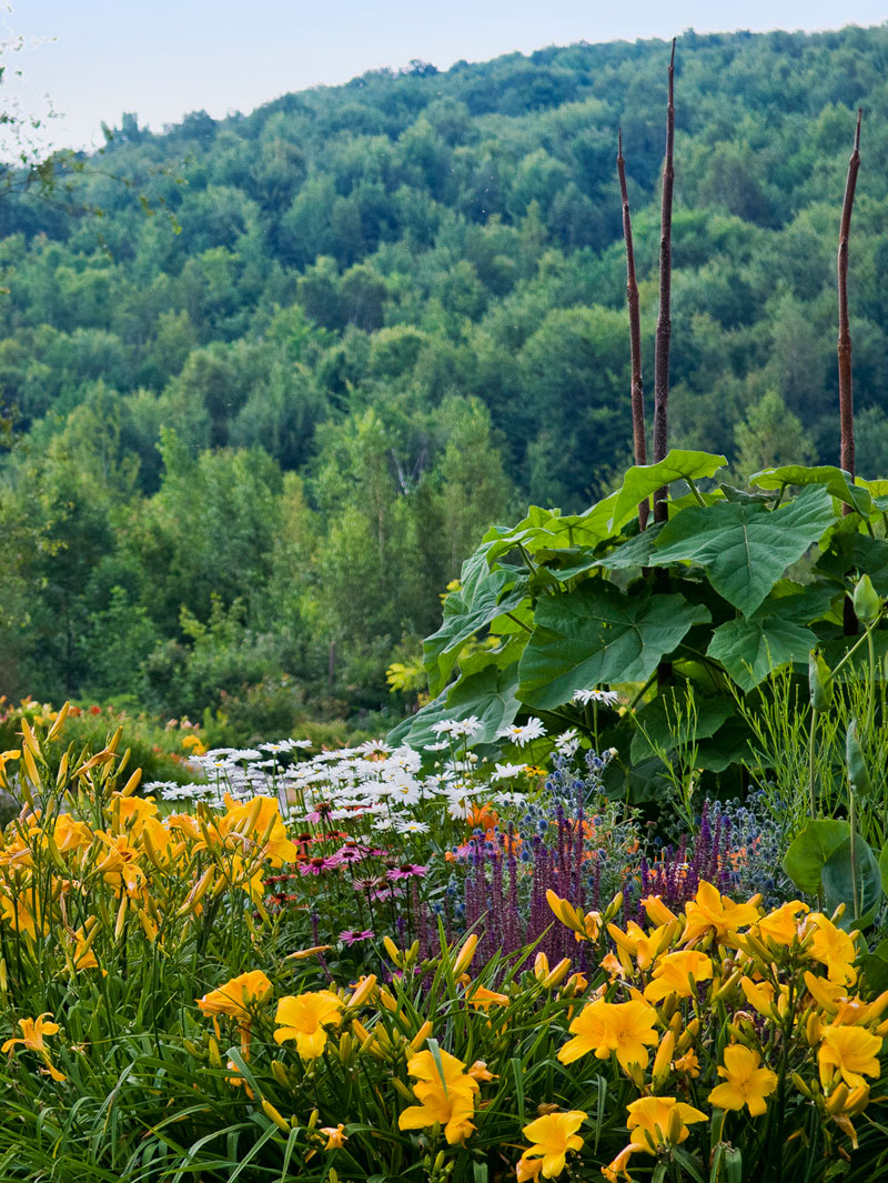 Judy Zoldos Garden 4 (Photo by Carolyn L. Bates)