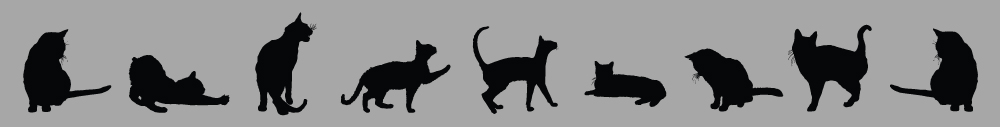 blog-cats-silhouettes-bottom