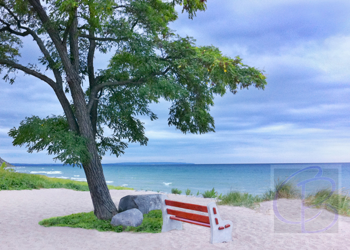 michigan-redbench-20110823 3273-sh-web-srgb