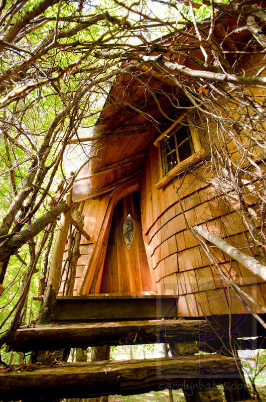 treehouses CLB8223